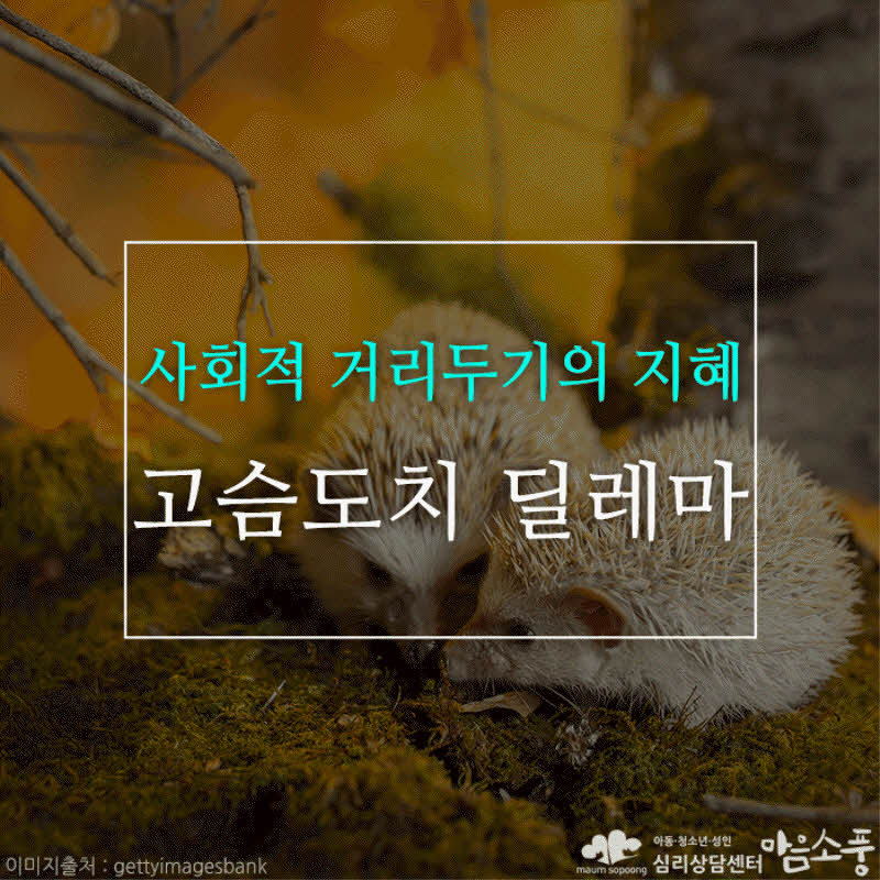 고슴도치 딜레마(hedgehog’s dilemma), 사회적 거리두기의 지혜