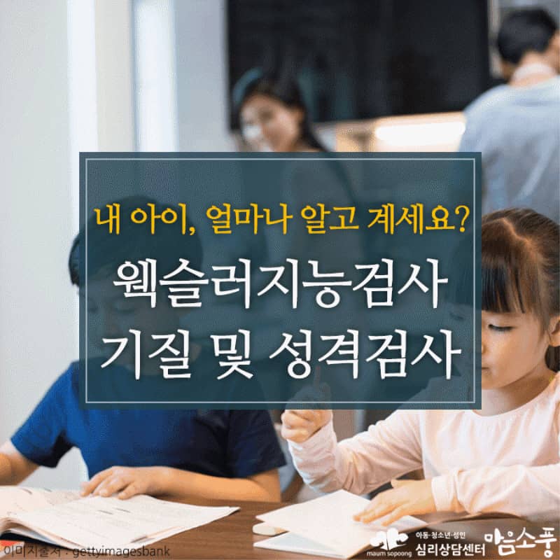 공부가 머니, 지능검사? 웩슬러지능검사, 기질 및 성격검사!
