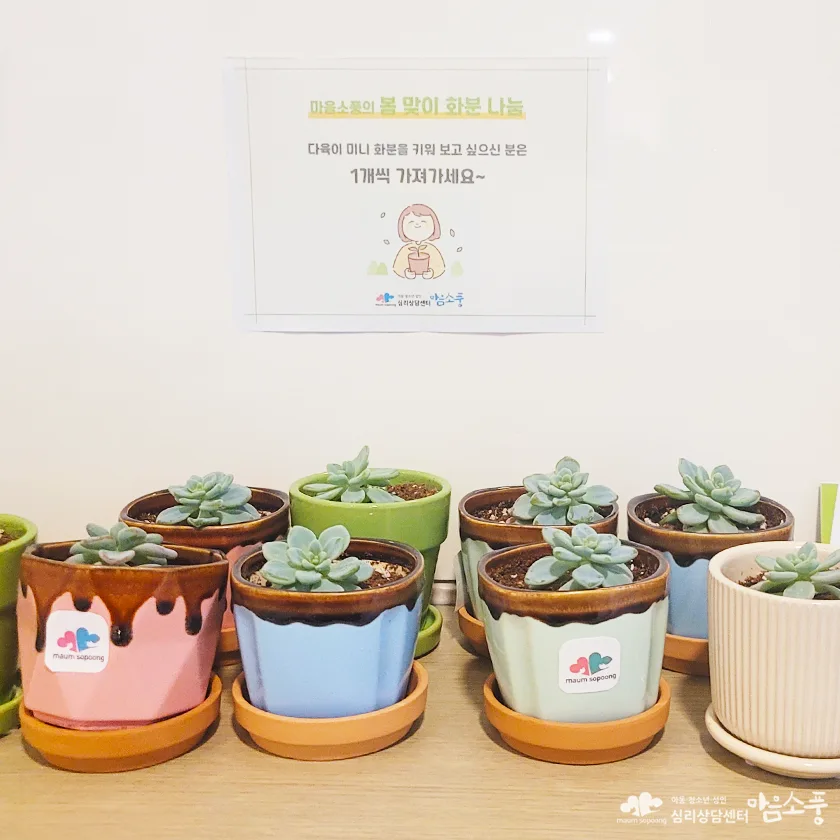 봄 맞이 다육이 미니 화분 나눔, 부천심리상담센터 마음소풍
