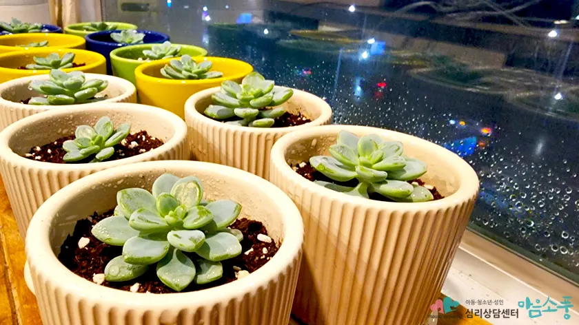 succulent-sharing-flowerpots-840-1