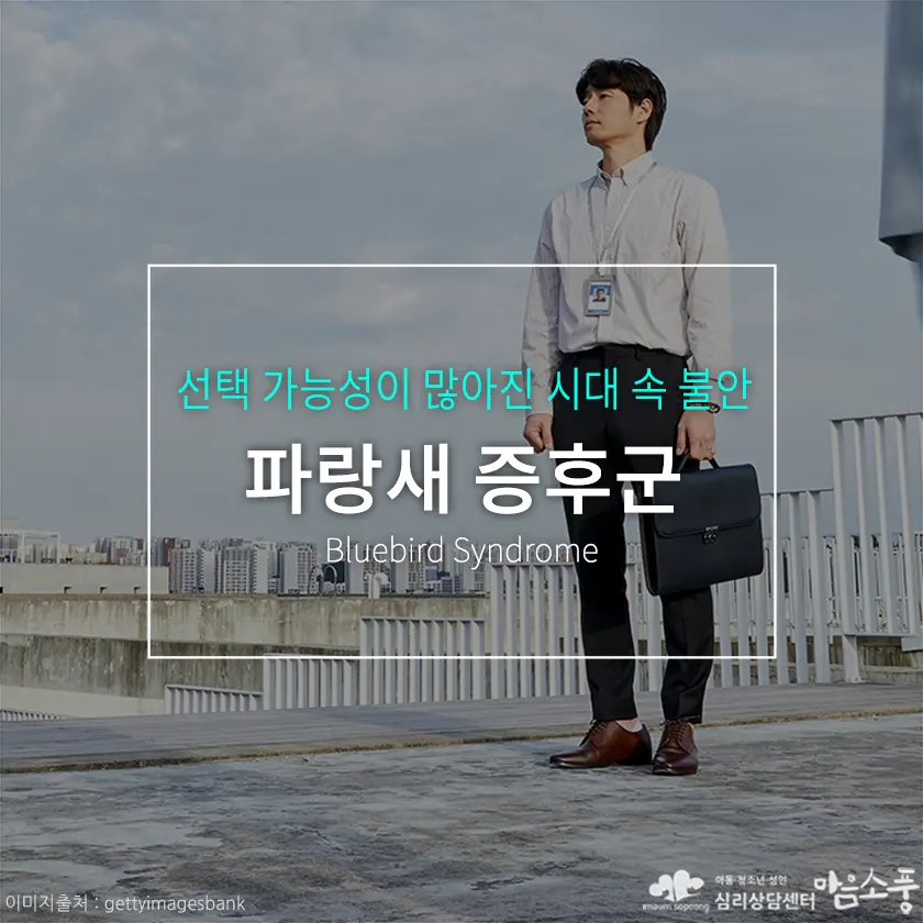 파랑새 증후군(Bluebird Syndrome) 원인과 증상 | 심리상담센터 마음소풍