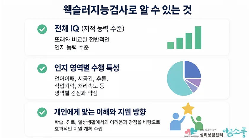 웩슬러검사로 알 수 있는 것